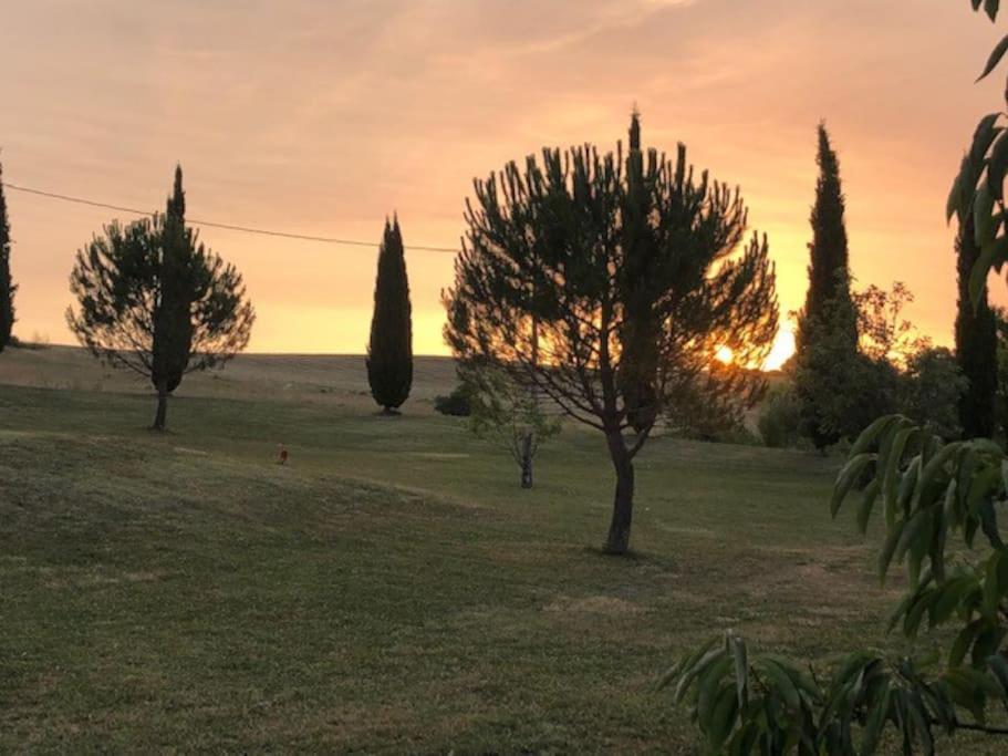 Chambre D'Hotes L'Altitude - Domaine La Rose Des Vents Castelnau-sur-lʼAuvignon Εξωτερικό φωτογραφία