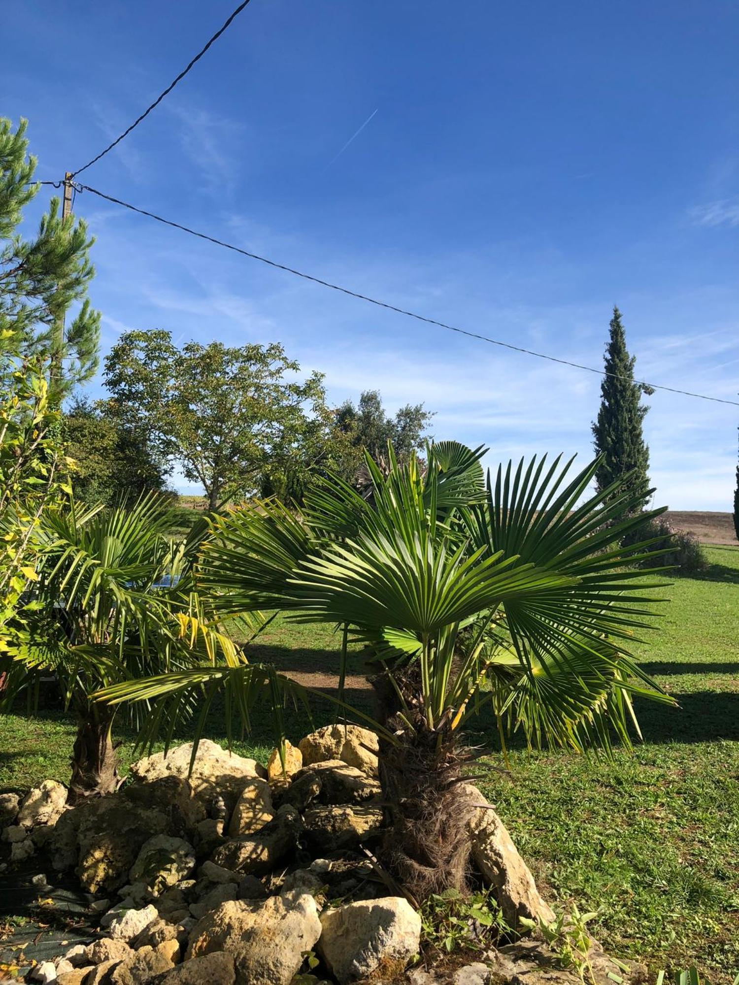 Chambre D'Hotes L'Altitude - Domaine La Rose Des Vents Castelnau-sur-lʼAuvignon Εξωτερικό φωτογραφία